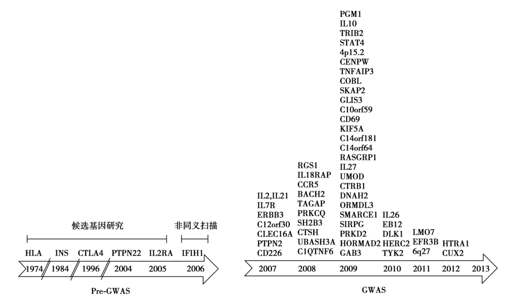 图1 T1DM易感位点.jpg